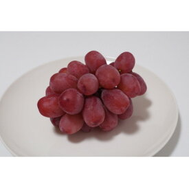 【ふるさと納税】2025年発送　長野限定　　産地直送　クイーンルージュ(赤ぶどう)1房(約400～800g)_ ぶどう ブドウ 葡萄 長野県 中野市 種なし 皮ごと 赤ぶどう クイーンルージュ 1房 甘い 果物 くだもの フルーツ 国産 産地直送 送料無料 【配送不可地域：離島】【1577387】