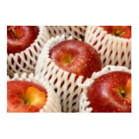 【ふるさと納税】【2026年発送】フルーツ王国　長野県産 りんご　紅玉(こうぎょく) 約2kg(3～6玉程度)_ りんご 林檎 果物 フルーツ くだもの 人気 おすすめ 送料無料 産地直送 長野 信州 紅玉 【1577396】