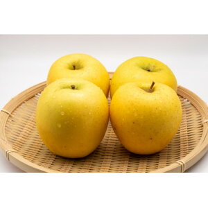 yӂ邳Ɣ[Łzy2025Nz 쌧Y  VimS[h 2kg(3`5ʒx)y1577419z