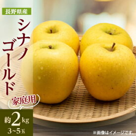 【ふるさと納税】【家庭用】 長野県産 りんご シナノゴールド 約2kg(3～5玉程度)【1577423】