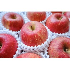 【ふるさと納税】【2025年発送開始】長野県 北信州のりんご 約2kg(3～7玉) おまかせ1品種 贈答におすすめ_ りんご 林檎 果物 フルーツ くだもの 人気 おすすめ 送料無料 産地直送 長野 信州 【1577441】