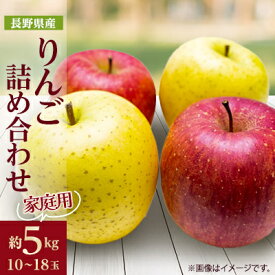 【ふるさと納税】家庭用 りんご サンふじ&シナノゴールド 詰め合わせ 約5kg(10～18玉程度)【1577937】