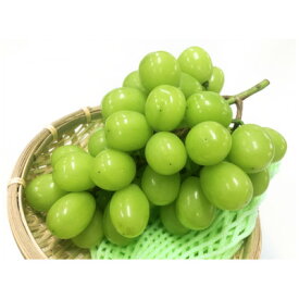 【ふるさと納税】【2025年先行予約】信州産地直送　家庭用　シャインマスカット　1房(約400～800g)【配送不可地域：離島】【1580238】