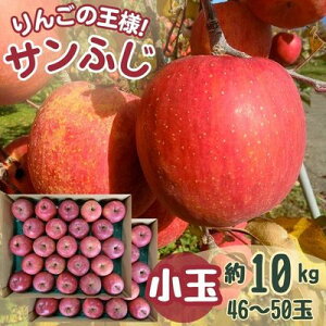 yӂ邳Ɣ[ŁzTӂ  10kg 43`50ʁy1587842z