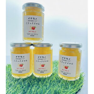 yӂ邳Ɣ[ŁzCiJm@ƃW@ӂ񂲁@140g×4{ZbgyMBzy1625401z