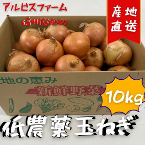 【ふるさと納税】低農薬で作られた甘い玉ねぎ 10kg【1626400】