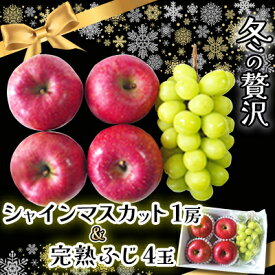 【ふるさと納税】この冬お届け!贅沢 シャインマスカット1房 + 完熟ふじ(りんご)4玉入 長野県産 フルーツギフト【1638433】