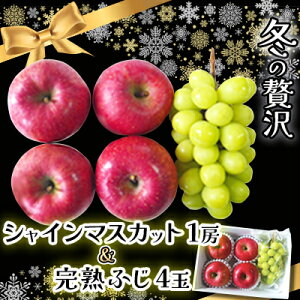 yӂ邳Ɣ[Łz̓~͂!ґ VC}XJbg1[ + nӂ()4ʓ 쌧Y t[cMtgy1638433z