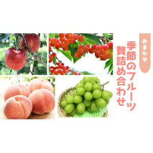 yӂ邳Ɣ[ŁzMB G߂̉ʕ܂Zbgyt[clߍ킹zyzsnFzy1646790z