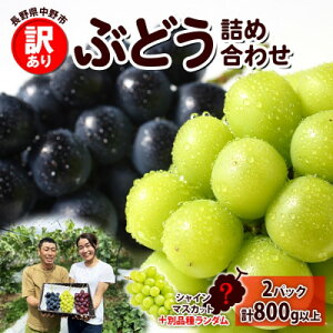 yӂ邳Ɣ[Łzy2026Ns\z󂠂 Ԃǂ [ 2 Hה v2pbN(v800gȏ) MBۍK_yzsnFEꌧzy1671026z