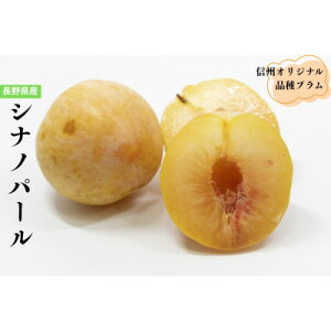 �y�ӂ邳�Ɣ[�Łz���쌧�̃I���W�i���i��@�����̃v�����@�V�i�m�p�[���@6�y�z���s�n��F�����z�y1676952�z