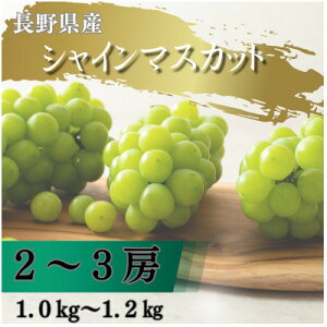 �y�ӂ邳�Ɣ[�Łz�y2026�N��s�\��J�n!�z���쌧����s�Y�V���C���}�X�J�b�g �v1.0�`1.2kg(2�`3�[)�y�z���s�n��F�����z�y1682420�z