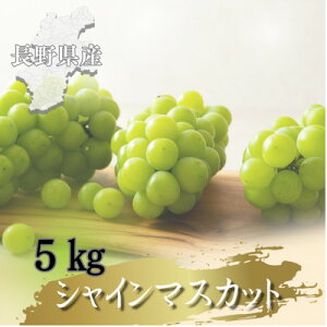 �y�ӂ邳�Ɣ[�Łz�y2026�N��s�\��J�n!�z���쌧����s�Y�V���C���}�X�J�b�g 5kg(8�`12�[)�y�z���s�n��F�����z�y1682422�z