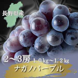 �y�ӂ邳�Ɣ[�Łz�y2026�N��s�\��J�n!�z���쌧����s�Y�i�K�m�p�[�v�� �v1.0�`1.2kg(2�`3�[)�y�z���s�n��F�����z�y1682457�z