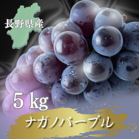 【ふるさと納税】【2026年先行予約開始!】長野県中野市産ナガノパープル 5kg(8～12房)【配送不可地域：離島】【1682460】