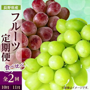 yӂ邳Ɣ[ŁzyŒցz2025N ̉ʕ VC}XJbg+NC[[WS2_ VC}XJbg NC[[W Ԃǂ uhE  }XJbg  