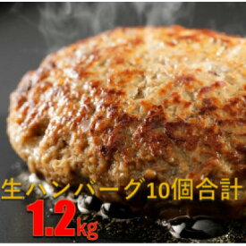 【ふるさと納税】【毎月定期便】和牛入り生ハンバーグ 120g×10個 1.2kg全3回【配送不可地域：離島】【4064139】