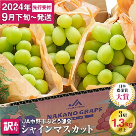 【ふるさと納税】＼ランキング1位／【 訳あり 】 2024年9月下旬～随時発送 シャインマスカット 【先行受付】■2024年発送_訳ありシャインマスカット3房1.3kg以上 ご自分へのご褒美シャインマスカット JA中野市から産直_ 【配送不可地域：離島・北海道・沖縄県】【1422800】