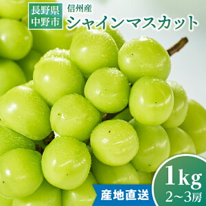 yӂ邳Ɣ[Łz2025N@yMBYzVC}XJbg1kg_ 쌧 t[c ʕ { Mtg v[g 蕨  y1246230z