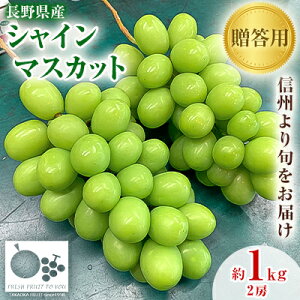 【ふるさと納税】「産地より信州中野の旬をお届け」 シャインマスカット 贈答用 約1kg 【配送不可地域:離島】【1311083】