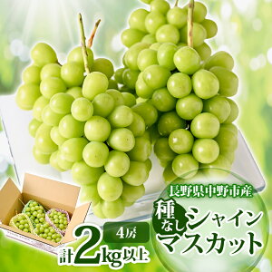 yӂ邳Ɣ[Łzy2025Nz쌧 sY VC}XJbg4[(2.0kgȏ)_ VC}XJbg  Ԃǂ uhE t[c ʕ ӂ[  Y { Mtg W[V[ Â