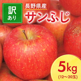 【ふるさと納税】長野県産 サンふじ りんご 家庭用 訳あり 5kg(12～20玉)_ 林檎 リンゴ 訳あり 訳アリ わけあり 長野県 信州 くだもの 果物 フルーツ 人気 サンフジ 特産品 産地直送 キズ 中野市 常温 【1360194】