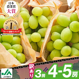【ふるさと納税】【2025年発送】 訳あり シャインマスカット 3房 / 4～5房 (1.3kg / 2.3kg)_ マスカット ぶどう ブドウ 葡萄 訳あり フルーツ 果物 くだもの 長野県 中野市 人気 送料無料 【配送不可地域：離島】【G1422800】