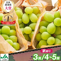 【ふるさと納税】【2026年発送】 _ 訳あり シャインマスカット 3房 ...