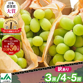 【ふるさと納税】年間ランキング受賞!【2026年発送】 _ 訳あり シャインマスカット 3房 / 4～5房 (1.3kg / 2.3kg)_ シャインマスカット マスカット ぶどう ブドウ 葡萄 訳あり フルーツ 果物 くだもの 長野県 中野市 人気 送料無料【配送不可地域：離島】【G1422800】