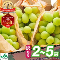 【ふるさと納税】年間ランキング受賞!【2026年発送】 _ 訳あり シャイ...