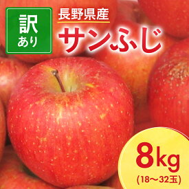 【ふるさと納税】長野県産 サンふじ りんご 家庭用 訳あり 8kg(18～32玉)_ 林檎 リンゴ 訳あり 訳アリ わけあり 長野県 信州 くだもの 果物 フルーツ 人気 サンフジ 特産品 産地直送 キズ 中野市 常温 家庭用 規格外 新鮮 北信州 農家 【1449697】
