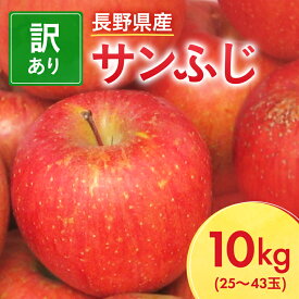 【ふるさと納税】長野県産 サンふじ りんご 家庭用 訳あり 10kg(25～43玉)_ 林檎 リンゴ 訳あり 訳アリ わけあり 10kg 長野県 信州 くだもの 果物 フルーツ 人気 サンフジ 特産品 産地直送 キズ 中野市 常温 家庭用 規格外 新鮮 北信州 農家 【1449710】