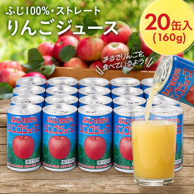【ふるさと納税】 ふじ 100% りんごジュース 160g×20缶入_ りんご 林檎 リンゴ ジュース 飲料 フルーツジュース ストレートジュース ストレート アップルジュース 人気 美味しい 長野県 中野市 【1452204】