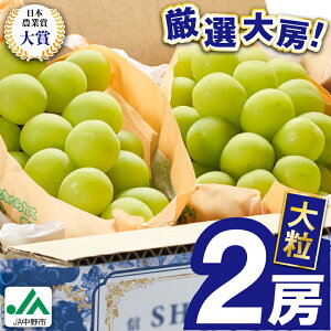 yӂ邳Ɣ[Łz2025Ns\@9{`10{JAs嗱 [VC}XJbg2[1.3kgȏ_ VC}XJbg 쌧 2024 4L p Mtg ӂ邳 Ԃǂ  uhE t