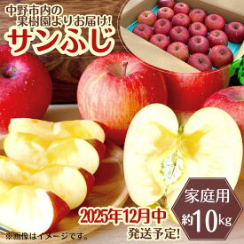 【ふるさと納税】◆2025年12月中発送◆りんご サンふじ家庭用 約10kg(24～42玉)_ 林檎 リンゴ 訳あり 訳アリ わけあり 長野県 信州 くだもの 果物 フルーツ 人気 サンフジ 特産品 産地直送 キズ 中野市 常温 家庭用 規格外 新鮮 蜜入り 果樹園 【1494948】