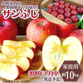 【ふるさと納税】◆2026年1月中発送◆りんご サンふじ家庭用 約10kg(24～42玉)_ 林檎 リンゴ 訳あり 訳アリ わけあり 長野県 信州 くだもの 果物 フルーツ 人気 サンフジ 特産品 産地直送 キズ 中野市 常温 家庭用 規格外 新鮮 蜜入り 果樹園 【1515113】