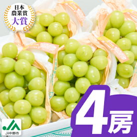 【ふるさと納税】【2026年発送】シャインマスカット 1房/2房/4房(700g以上/1kg以上/2kg以上)_ シャインマスカット 日本農業賞大賞 受賞 マスカット ふるさと 長野県 フルーツ 果物 くだもの ぶどう ブドウ 【配送不可地域：離島】【G1272457】