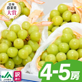 【ふるさと納税】年間ランキング受賞!【2026年発送】 _ 訳あり シャインマスカット 2房/ 3房 / 4～5房 (1kg/1.3kg / 2.3kg)_ シャインマスカット マスカット ぶどう ブドウ 葡萄 訳あり フルーツ 果物 くだもの 長野県 中野市 人気【配送不可地域：離島】【G1422800】