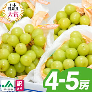 yӂ邳Ɣ[Łzy2025Nz 󂠂 VC}XJbg 3[ / 4`5[ (1.3kg / 2.3kg)_ }XJbg Ԃǂ uhE  󂠂 t[c ʕ  쌧 s lC  yzs