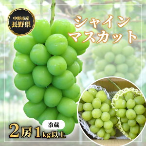 yӂ邳Ɣ[Łz쌧sY@~łHׂ@VC}XJbg2[(1.0kgȏ)_ Ԃǂ  uhE VC}XJbg t[c ʕ ӂ[  Y { Y  lC i