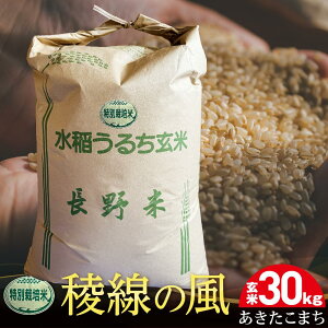 yӂ邳Ɣ[Łzʍ͔|ā@Ő̕i܂j 30kg