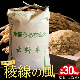 【ふるさと納税】【幻のお米】稜線の風（ゆめしなの） 玄米30kg