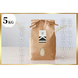 yӂ邳Ɣ[ŁzkAvX̐ňꓙăRVqJ@5KG^10KG^30KG^yցz5KG×3 | V Yn lC  RVqJ  _ ӂ Â  aH Mtg
