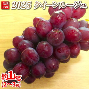 yӂ邳Ɣ[Łz2025 NC[[WR@2[`3[@1L@y10{`\z@쌧Y@ۓL@엿͔|@ | ʕ Ԃǂ t[c NC[[W uhE x 