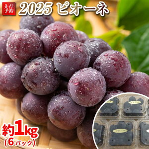 yӂ邳Ɣ[Łz2025@P@sI[l@̂6pbN@1L@y10{`\z@쌧Y@ۓL@엿͔| | t[c ʕ  Hi lC  