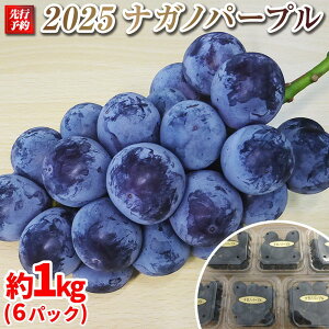 【ふるさと納税】【先行予約】2025 P ナガノパープル 粒採り6パック 約1キロ 長野県産 【9月下旬頃〜順次発送予定】国際特許有機肥料栽培 | フルーツ 果物 くだもの 食品 人気 おすす