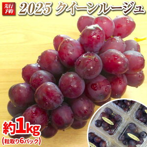 yӂ邳Ɣ[Łz2025@P@NC[[WR@̂6pbN @1L@쌧Yy10{`\zۓL@엿͔| | t[c ʕ  Hi lC  