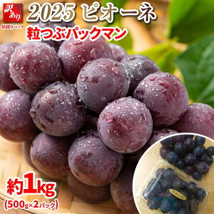 yӂ邳Ɣ[Łz2025@sI[l @ԃpbN}y󂠂pbNz2pbN @1L@쌧Yy10{`\z ۓL@엿͔| | t[c ʕ  Hi lC 