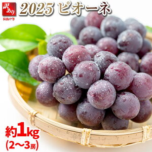 yӂ邳Ɣ[Łz2025@sI[l y󂠂藱z[@1L@쌧Y y10{`\zۓL@엿͔| | t[c ʕ  Hi lC  