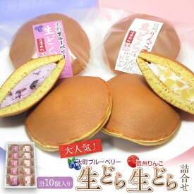 【ふるさと納税】大人気！大町ブルーベリー生どら信州りんご生どら詰合せ　老舗 和菓子 どら焼き 食べ比べ 長野県 大町市